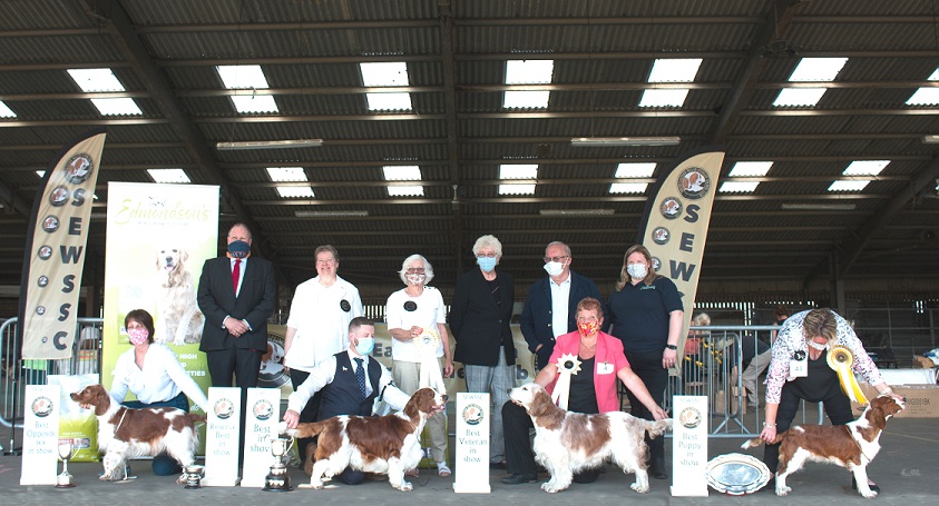 May Champ Show 2021 BIS Winners